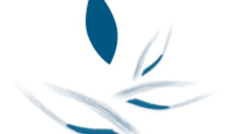 The Guardian of Memories